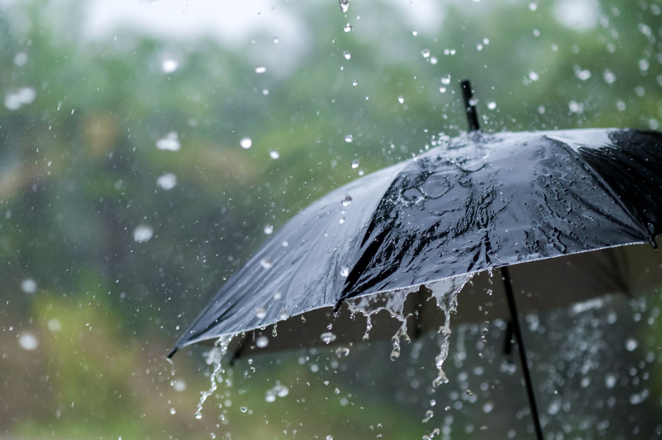 Mùa mưa bán gì? Top 10 mặt hàng kinh doanh nên bán vào mùa mưa