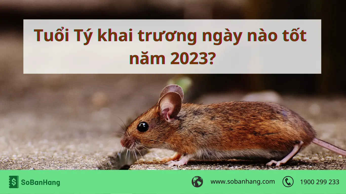 TUỔI NHÂM TÝ 1972 KHAI TRƯƠNG NGÀY TỐT NĂM 2026