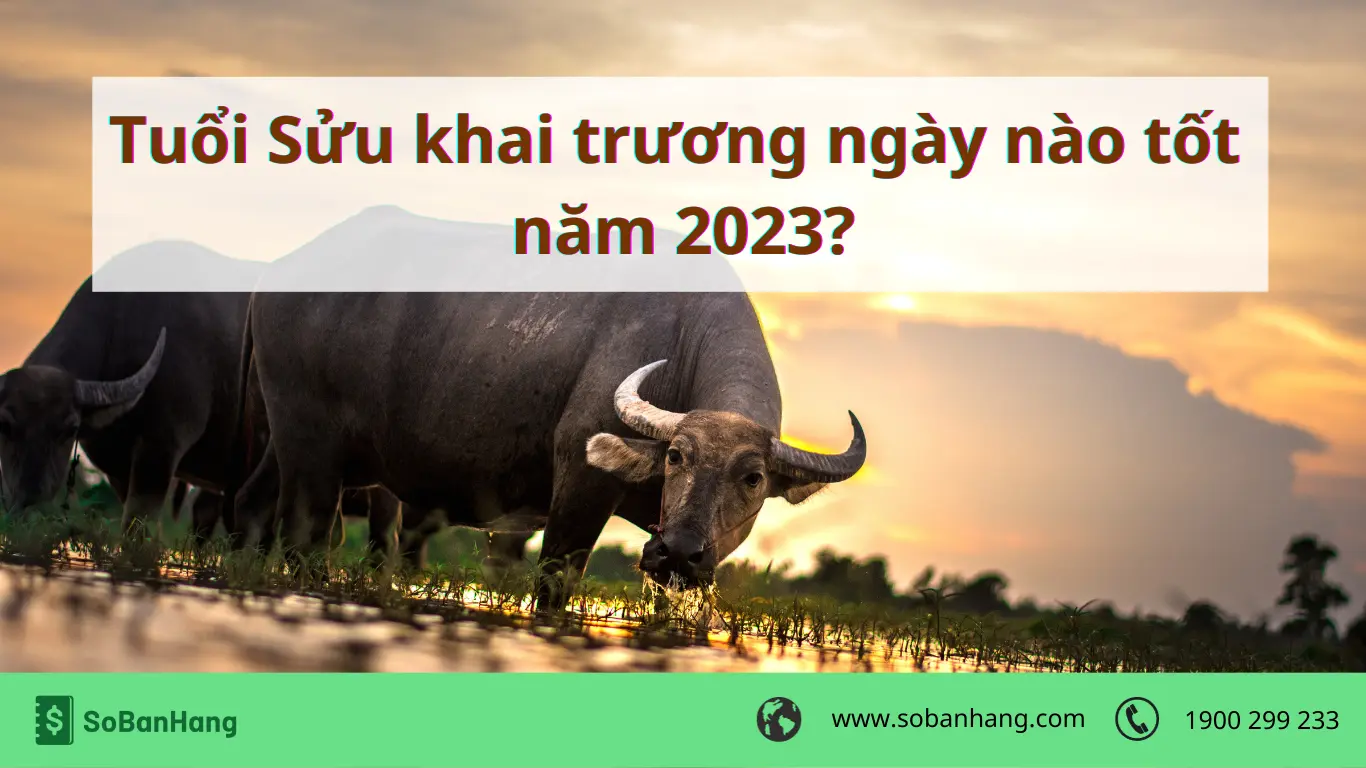 TUỔI SỬU 1973 LỰA CHỌN NGÀY TỐT KHAI TRƯƠNG 2026