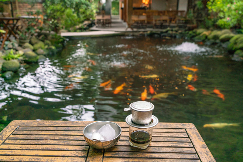 Có nên kinh doanh cafe cá Koi không?