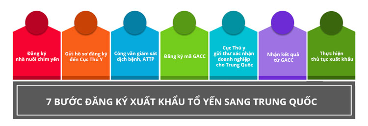 xuất khẩu tổ yến 