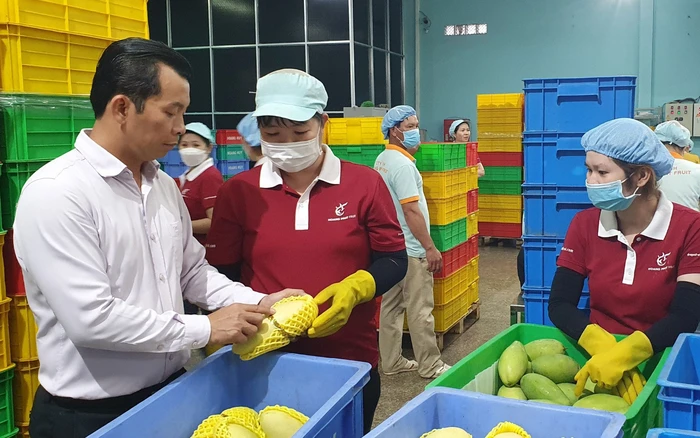 có nên kinh doanh nông sản không