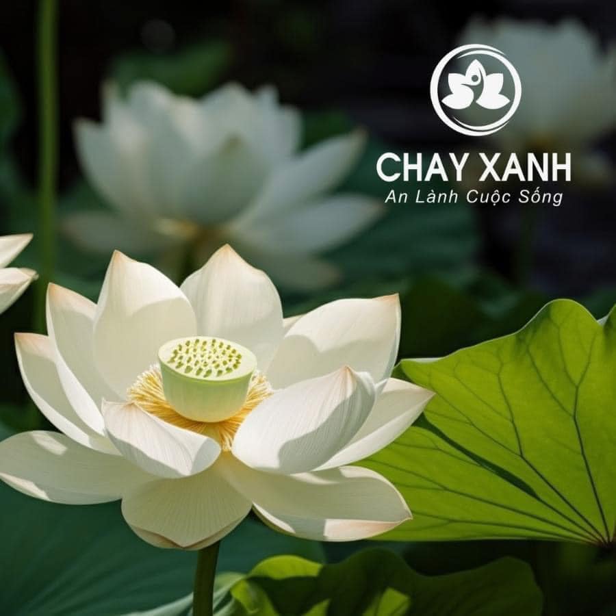 lưu ý khi kinh doanh thực phẩm chay