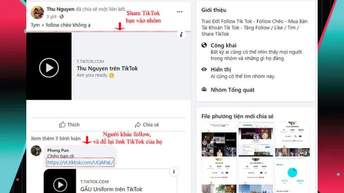 tăng follow Tiktok